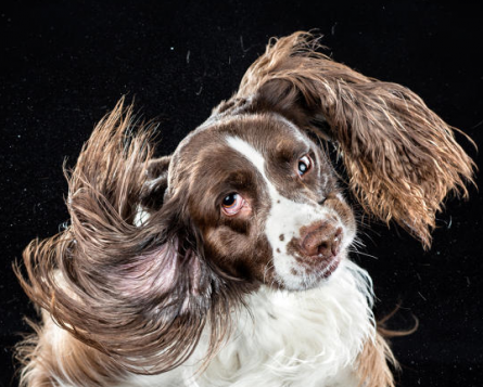 Photo from Carli Davidson new book Shake